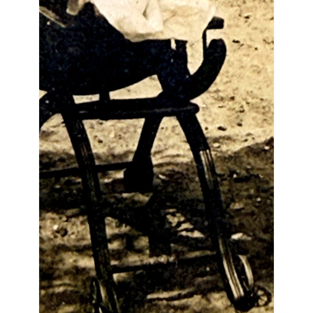 Antique CDV Photo Baby In Stroller Rustic Rural Farm Scene Horse Laundry 1870s - Picture 4 of 5
